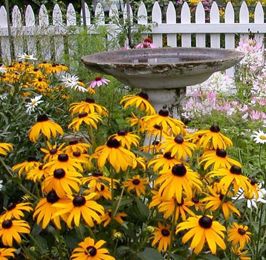 The Morrison House Bed And Breakfast Somerville Exterior foto